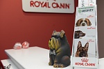 Здоровое питание для собак и котов! В зооцентре Dog\'s - Sport & Show работает фирменный магазин Royal Canin