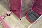 Отель для животных SandraGroom уже работает
