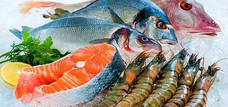�������� ������ ������� �������� FreshFish