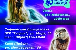Отель для животных SandraGroom уже работает